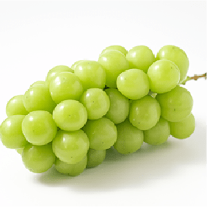 Fresh muscat grapes